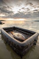 Fox Podložka Carpmaster Air Mat (14)