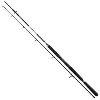 Daiwa Prút BG Pilk 2,70 m 50-165 g Daiwa Prút BG Pilk 2,70 m 50-165 g
