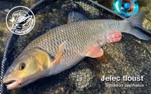 ČRS Vreckový Rybársky Kalendár Na Rok 2025