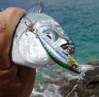 Savage Gear Wobler Gravity Minnow Sinking Pink Belly Sardine 5 cm 4,3 g (2)