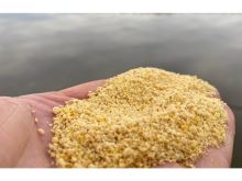 FeederBait Methodmix Competition Carp 800 g (1)