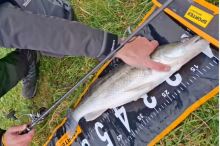 Sportex Prút Graphenon RS-2 Spin 2,4 m 18-77 g (6)