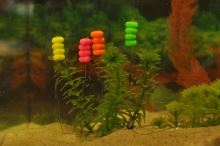 Mivardi Plávajúca Kukurica MagiCorn 15 ks (2)