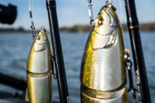 Shimano Wobler Yasei Soul Swim Suspending Chartreuse (5)