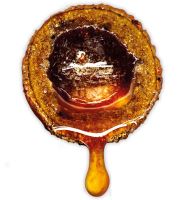 LK Baits Nutrigo Extra Plankton