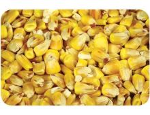 Nikl kukurica 1 kg Nikl kukurica 1 kg