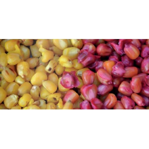 Mikbaits nakladaný partikel 1 kg