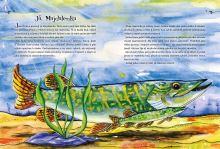 Kniha Šťuka Majdalenka a dúhová lopta (2)