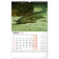 PGCZ Nástenný Rybársky Kalendár 2026 CZ 33x46 cm (4)