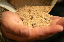 One More Cast Stick & Bag Mix iScream 1 kg (4)