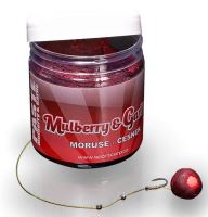 Sportcarp Pasta 250ml (5)