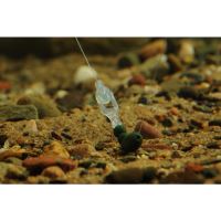 Aquateko Transparentný Obratlík InvisaSwivel 5 ks (2)