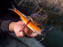 Berkley Gumová Nástraha PowerBait Nessie Green Pumpkin (8)
