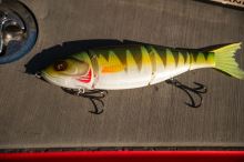 Fox Rage Gumová Nástraha Replicant Swim Perch 18 cm (6)