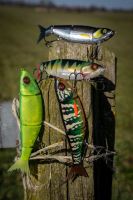 Fox Rage Gumová Nástraha Replicant Swim Ghost 18 cm (5)