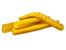 LK Baits Kukurica Baby Corn 4 ks (7)