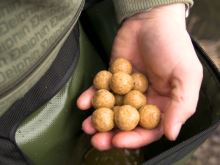 Delphin Zakŕmovacia Ľadvinka Baityx (2)