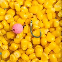 Nash Háčiky Continental X Micro Barbed 10 ks (5)