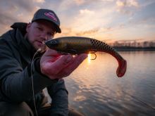 Berkley Gumová Nástraha PowerBait Cullshad Shallow Sinking Firetiger (3)