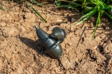 Preston Innovations Záťaže Feature Finder Leads 2 ks (2)