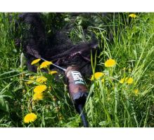 R-SPEKT Plavák Na Podberák Maxi Camou (1)