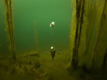 Fox Plavák Edge Zig Float Kit (7)