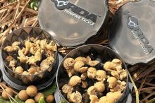 Korda Krusha Small 10 cm (2)