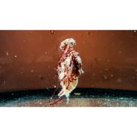 DK Fishing Šónov Sopel Ready To Go Kril 500 ml (2)