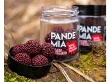 Chytil Boilies Pandémia 20 mm (10)