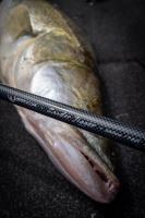 Fox Rage Prút Warrior Zander Jigger 2,4 m 10-35 g (6)