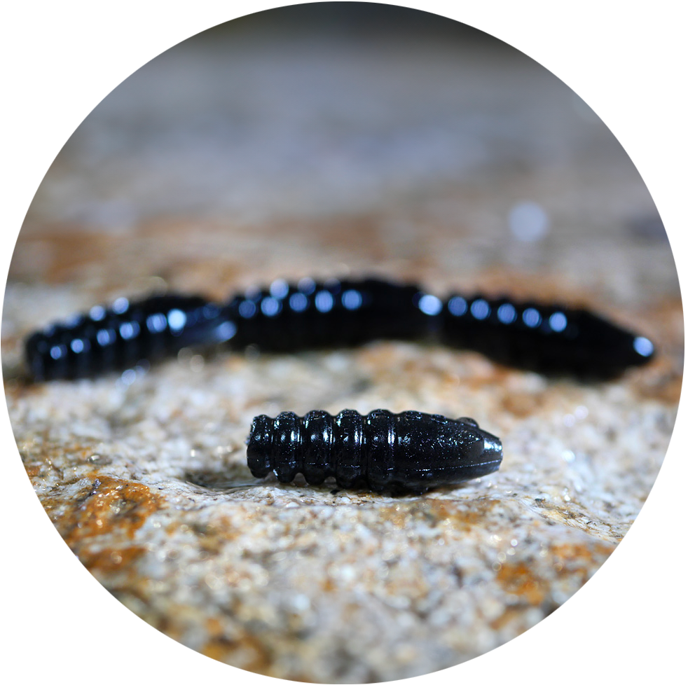 E-shop Redbass gumová nástraha trout grub black - 3x33 mm