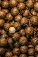 LK Baits Boilies Tester Series_01 Pure Signal (2)