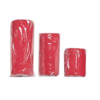 Survival Lekárnička First Aid Kit Pet (6)