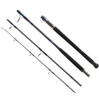 Daiwa Prút Saltiga AP 2,55 m 50-160 g (2)