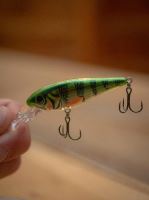 Salmo Wobler Rattlin Executors SDR Clear Hot Perch (1)