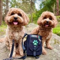 Survival Lekárnička First Aid Kit Pet (2)