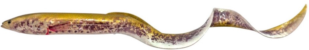 E-shop Savage gear gumová nástraha real eel chameleon eel - 30 cm 56 g