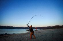 Shimano Prút Tribal TX-5A Carp Intensity 3,66 m 3,5+ lb (15)