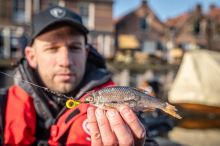 Fox Rage Jigová Hlavička XS Fireball Tiger (4)