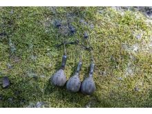 Avid Carp Montáž Ready Tied Pin Down Leade Heli/Chod (2)