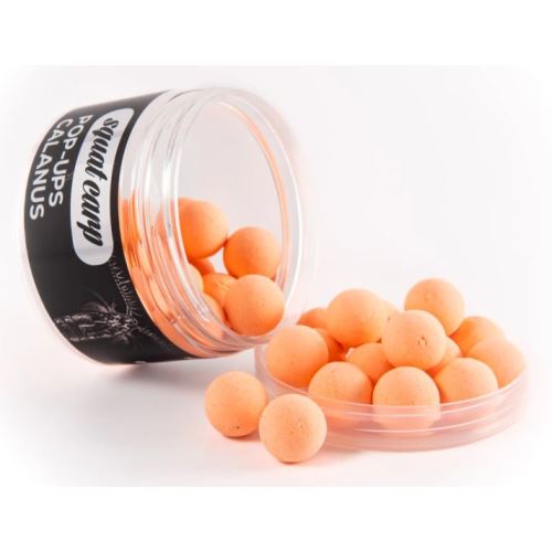 Squat Carp Plávajúce Boilies Pop-Up Calanus 60 g