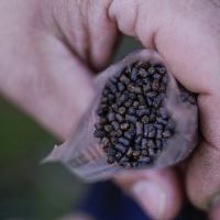 Munch Baits Pelety Salmon Micro Pellets 2 l (4)