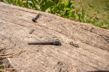 Korum Prevleky Camo Heli Sleeve 5 ks (7)