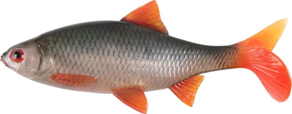 Fox rage gumová nástraha ultra natural roach bulk - 24 cm