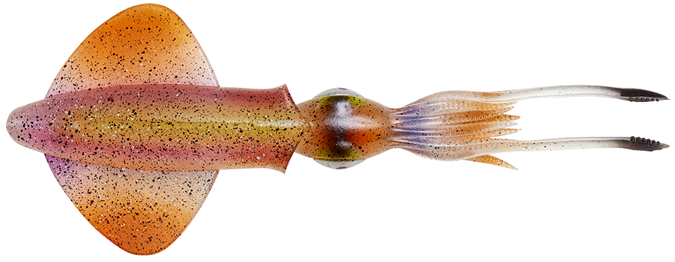 E-shop Savage gear 3d swim squid sinking horny squid - 4 ks 9,5 cm 5 g