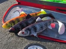 Fox Rage Gumová Nástraha Wobble Replicant Nightmare UV (2)