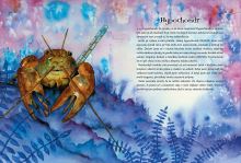 Kniha Rak Čilirak a Americká Kreveta (1)