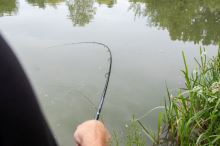 Preston Innovations Prút Inspire Feeder 4 m (6)