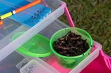 Zebco Kufrík s Príslušenstvom Talia Fishing Set (11)