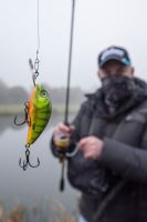 Salmo Wobler Rattlin Hornet Floating Natural Perch (4)